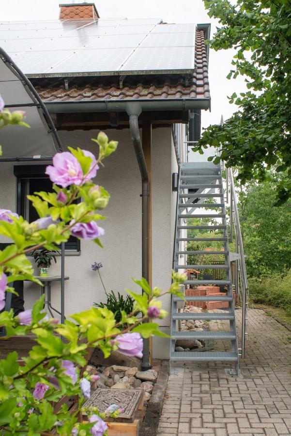 Ferienwohnung Am Eichholz 코부르크 외부 사진